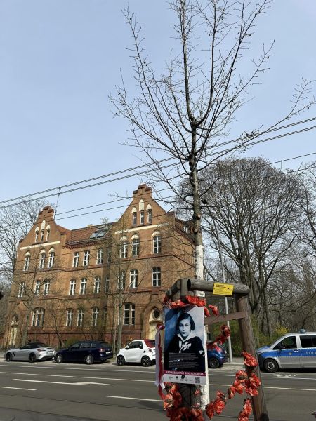 Plik:DrzewoIrenyBobowskiej.jpg