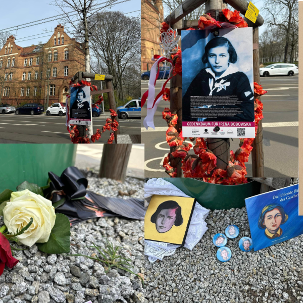 Plik:Bobowska-Baum.png